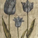 Embellished Elephant Tulips II
