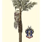 Elongated Exotic Palm I