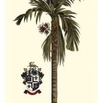 Elongated Exotic Palm II