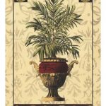 Palm of the Islands II