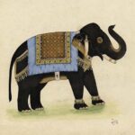 Elephant from India I