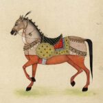 Horse from India I