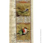 Bird Pair from India II