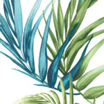 Palm Leaves IV