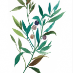 Olive I