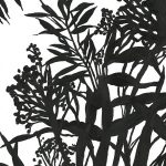Monochrome Foliage II