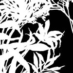 Monochrome Foliage III