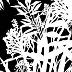 Monochrome Foliage IV