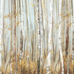 Birchscape II