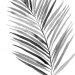 BW Palm IV