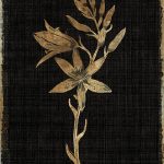 Camass and Wild Hyacinth