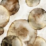 Tree Rings