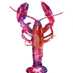 Multicolored Lobster