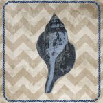 Nautical Shell I