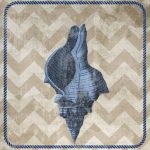 Nautical Shell II