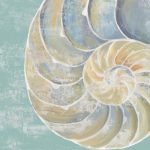 Pastel Shell II