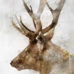 Stoic Elk