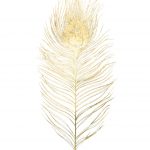 Golden Feather I