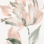 Pink Hibiscus II