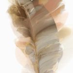 Thoughts of Brilliance II