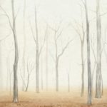 Fall in the Forest II