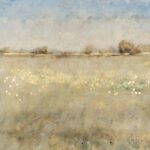 Meadow Plane II