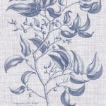 Navy & Linen Botanical III