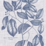 Navy & Linen Botanical VII