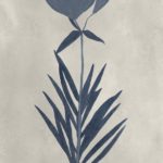 Navy Pressed Flowers I