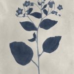 Navy Pressed Flowers III