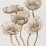 Poppies in Sepia I