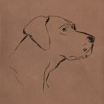 Canine Portraits III