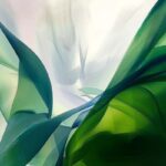 Fluid Perspectives II