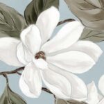 Soft Magnolia Bloom II