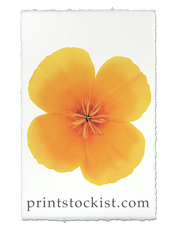 printstockist