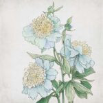 Delicate Botanical Blue I
