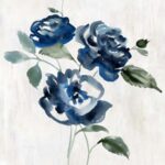 Indigo Roses