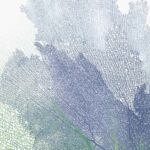 Nature's Intricate Veil II