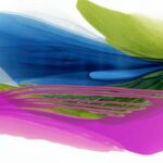 Colorful Layers in Motion