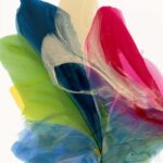 Colorful Petal in Motion