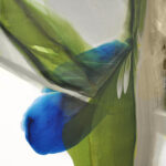 Green and Blue Fluid Harmony