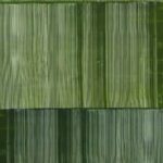 Green Stripes in Parallel Harmony I