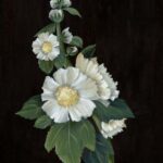 White Flowers on Black II
