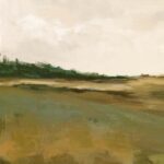 Fields Beneath the Overcast Sky