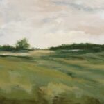 Calm Fields Under Overcast Skies