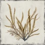 Yellow Coral I