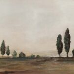Trees Under Vast Quiet Sky