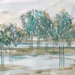 Teal River Forest